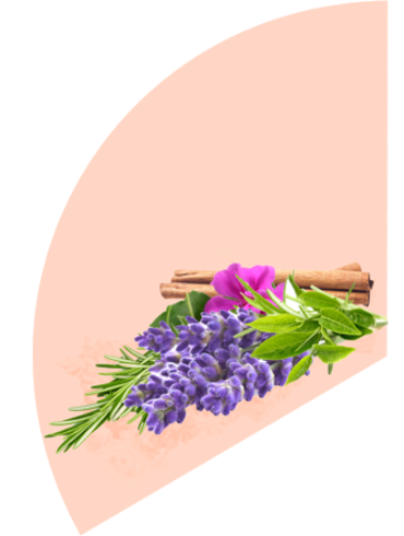 Natural Castile Collection