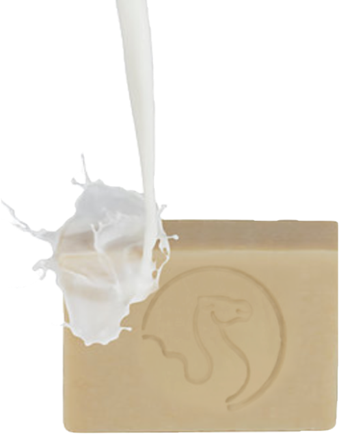 camel milk soap with camelmilk