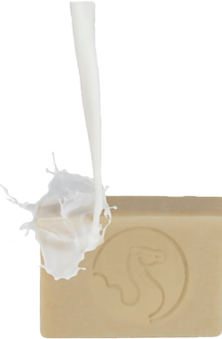 camel milk soap with camelmilk